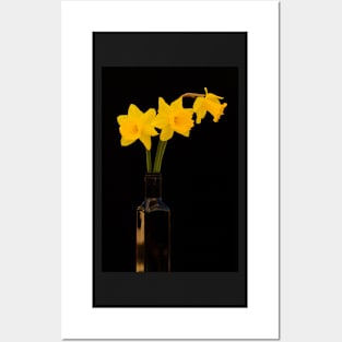 Daffodils 2 Posters and Art